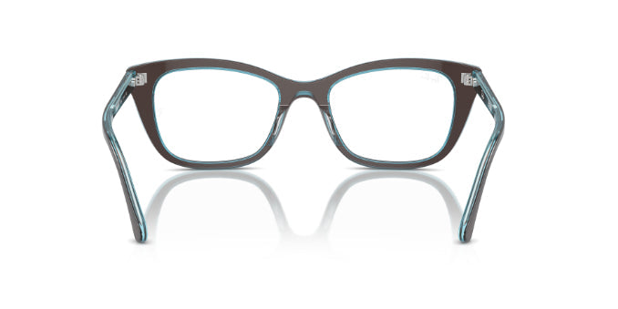 8366BrownOnTransparentBlue