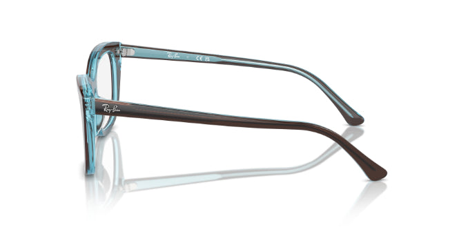 8366BrownOnTransparentBlue
