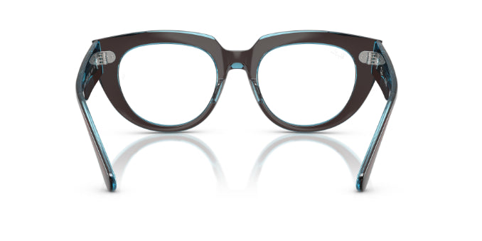 8366BrownOnTransparentBlue