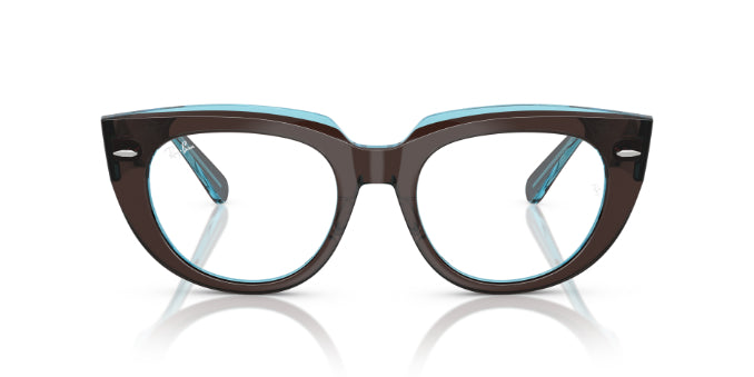8366BrownOnTransparentBlue