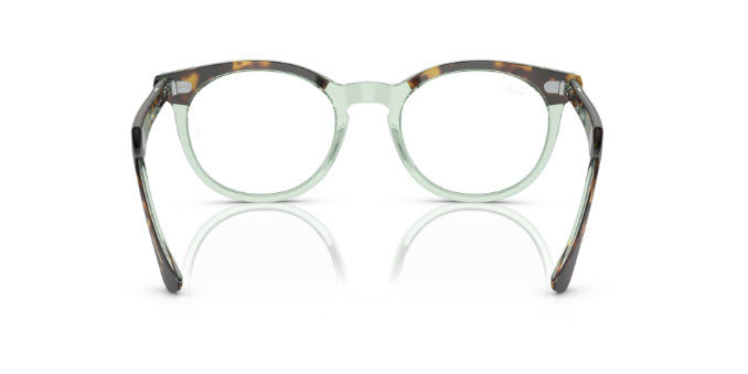 8249HavanaOnTransparentGreen