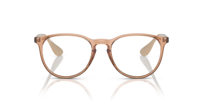 8339TransparentBrown