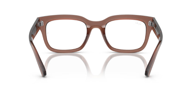 8261TransparentBrown