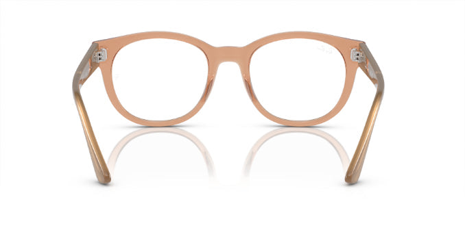 8313TransparentLightBrown
