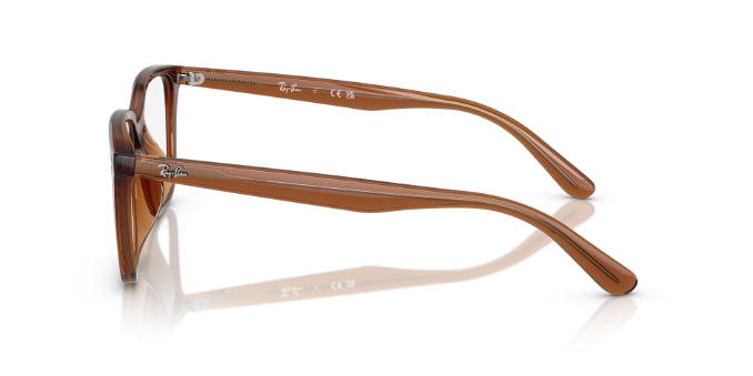 8409TransparentBrown