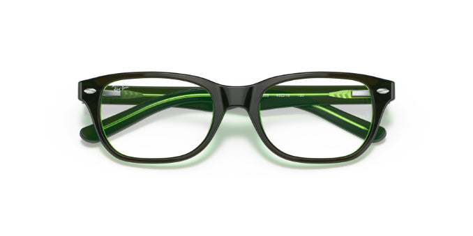 3665BrownOnGreenFluo