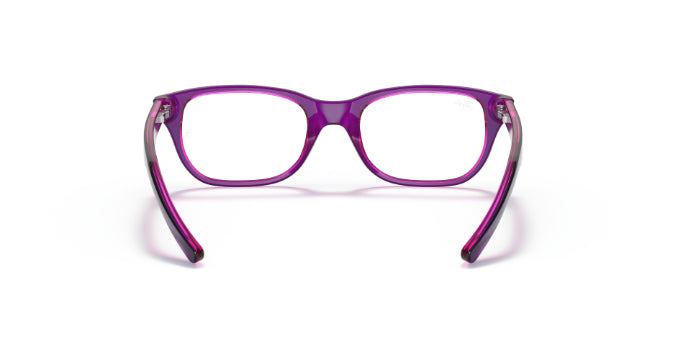 3666VioletOnFuxiaFluo