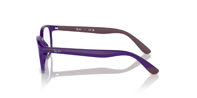 3962VioletOnBordeaux