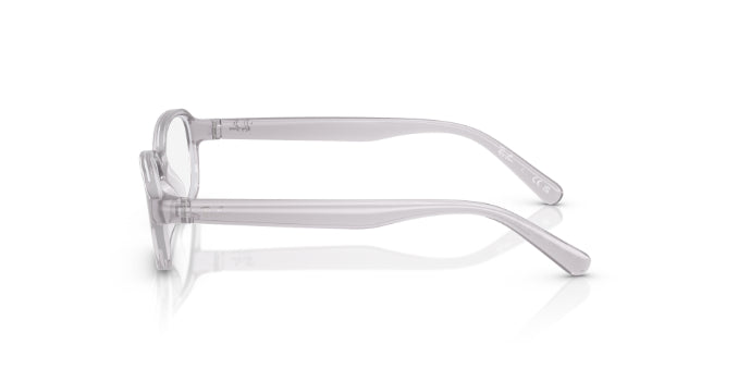 3984TransparentGrey