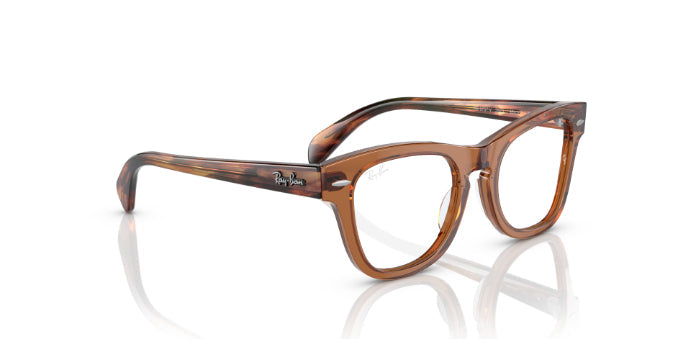 3923TransparentBrown