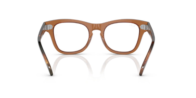 3923TransparentBrown