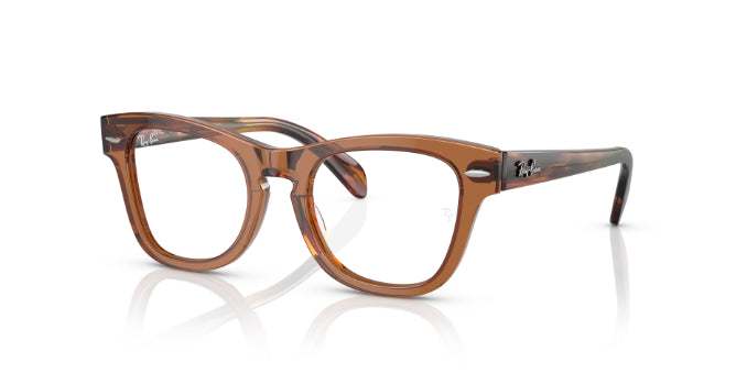 3923TransparentBrown