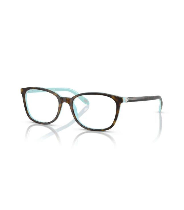 Eyeglasses