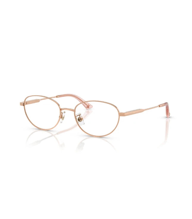 Eyeglasses