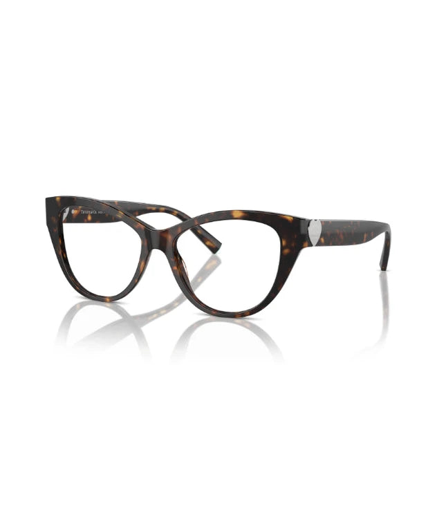 Eyeglasses