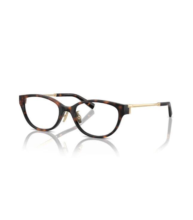 Eyeglasses