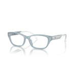 Eyeglasses