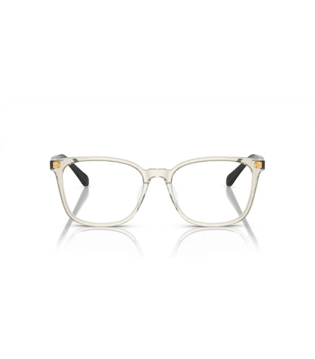 Eyeglasses