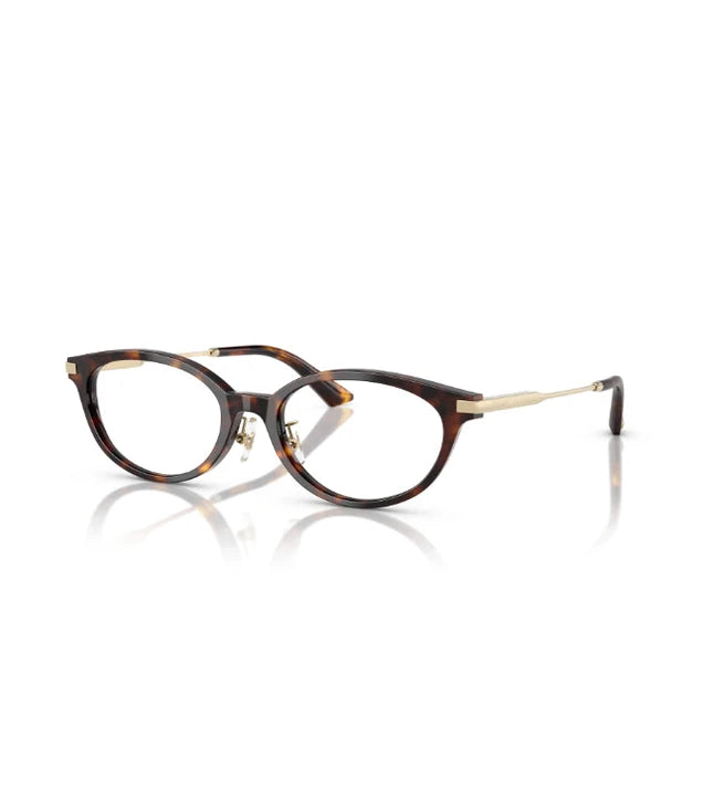 Eyeglasses