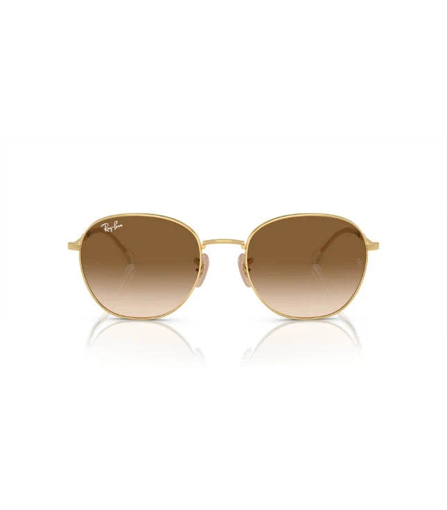 Ray-Ban RB3809 Designer Sunglasses
