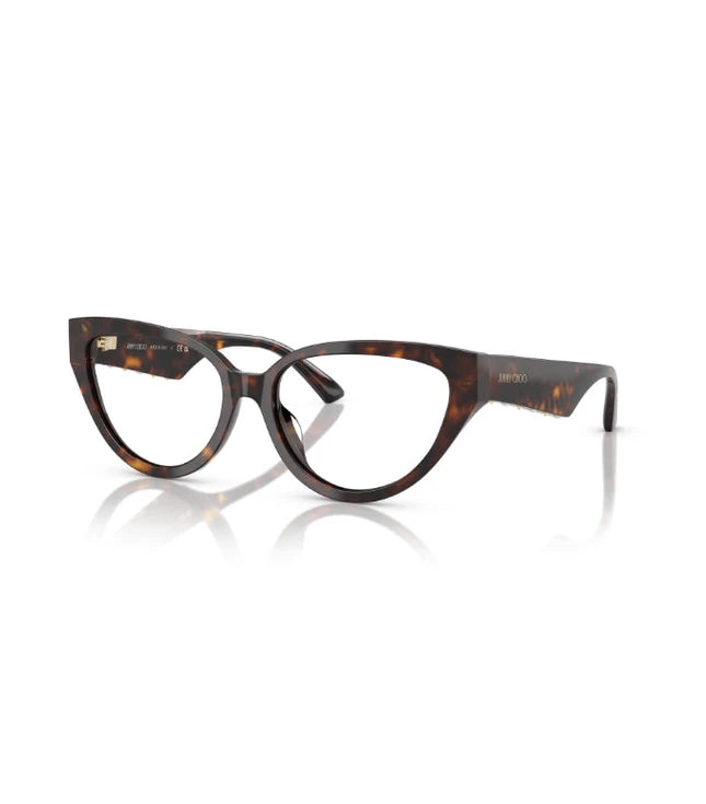 Eyeglasses