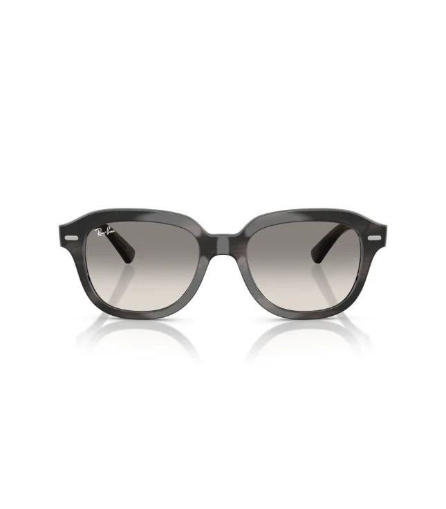 Ray-Ban Erik RB4398 Designer Sunglasses