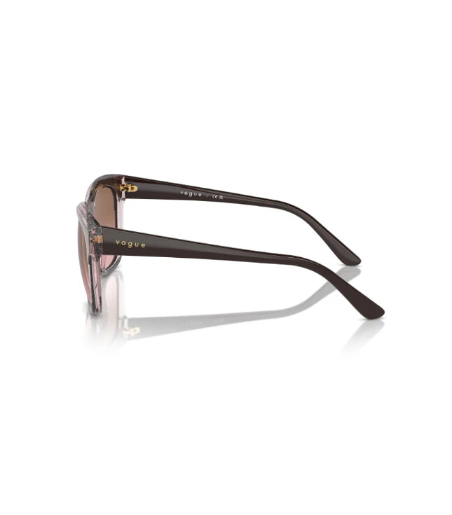 Eyeglasses