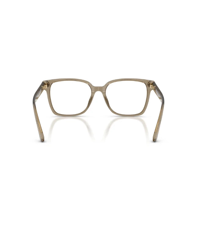 Eyeglasses