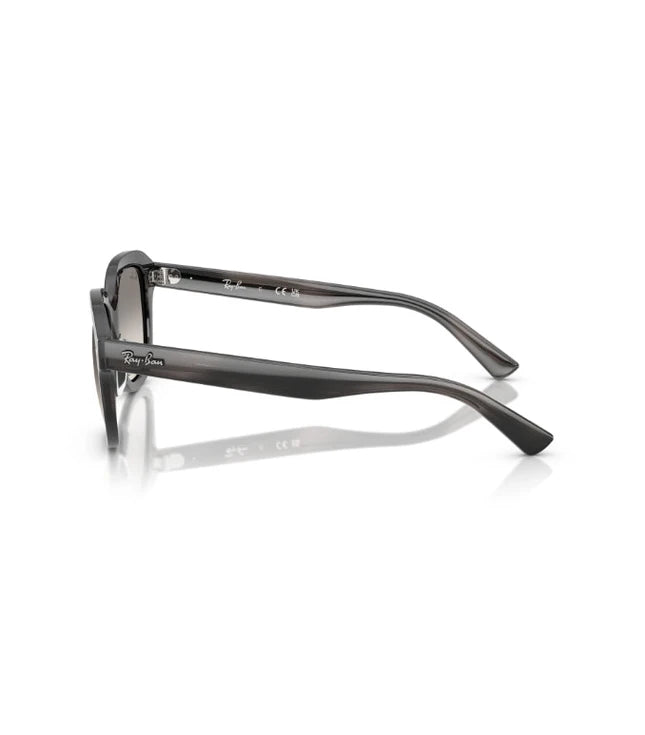 Ray-Ban Erik RB4398 Designer Sunglasses