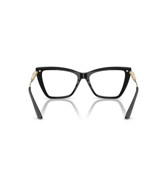 Eyeglasses