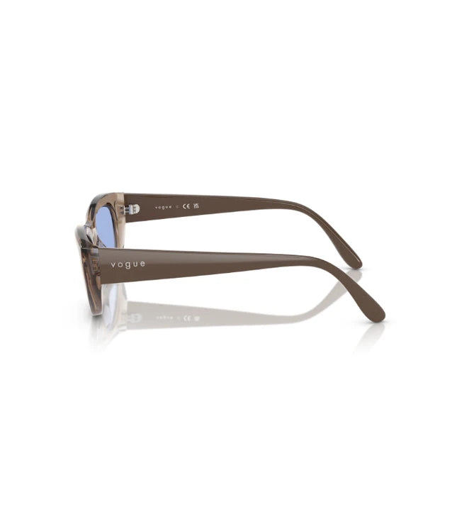 Eyeglasses