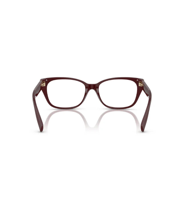 Eyeglasses