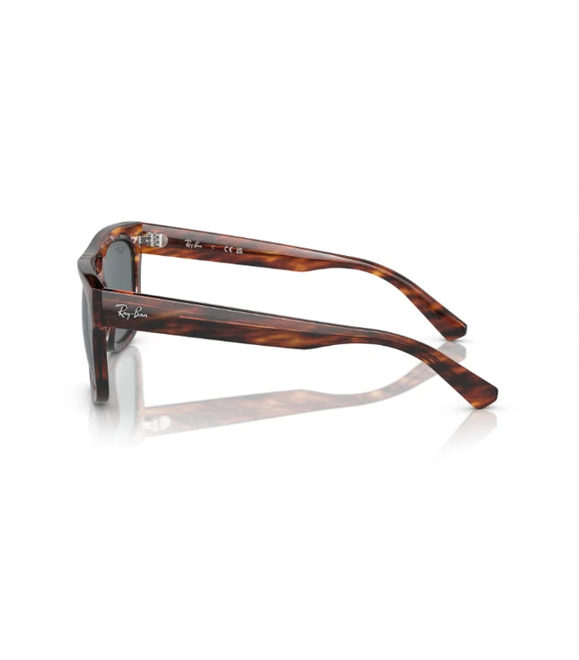 Ray-Ban Phil RB4426 Designer Sunglasses