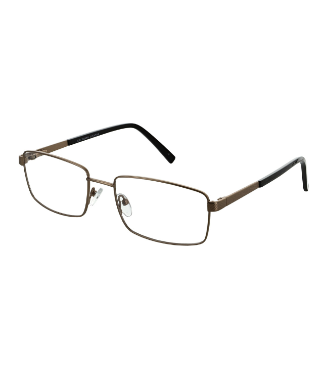Eyeglasses