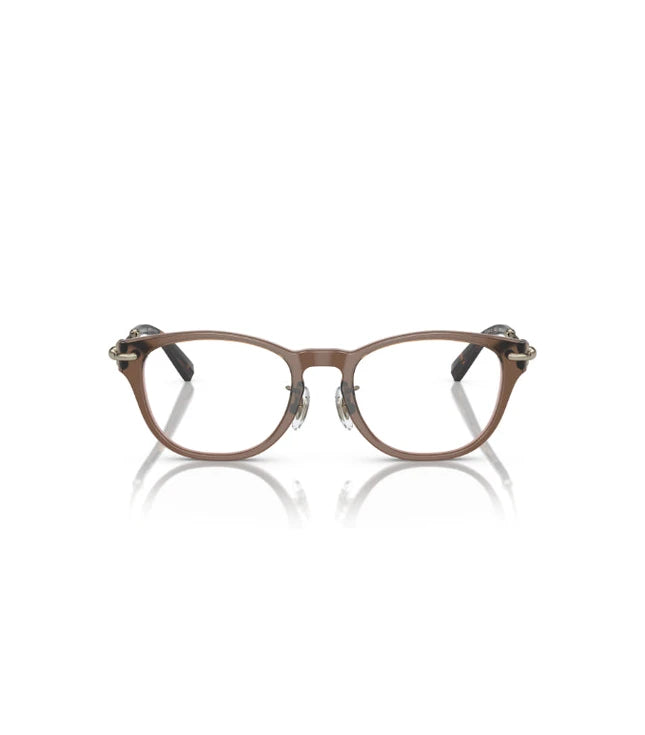 Eyeglasses