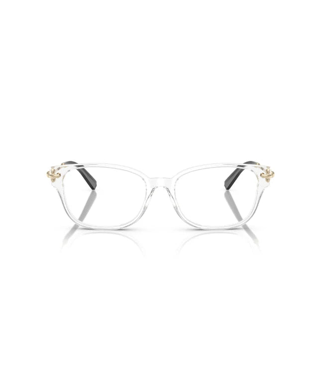 Eyeglasses