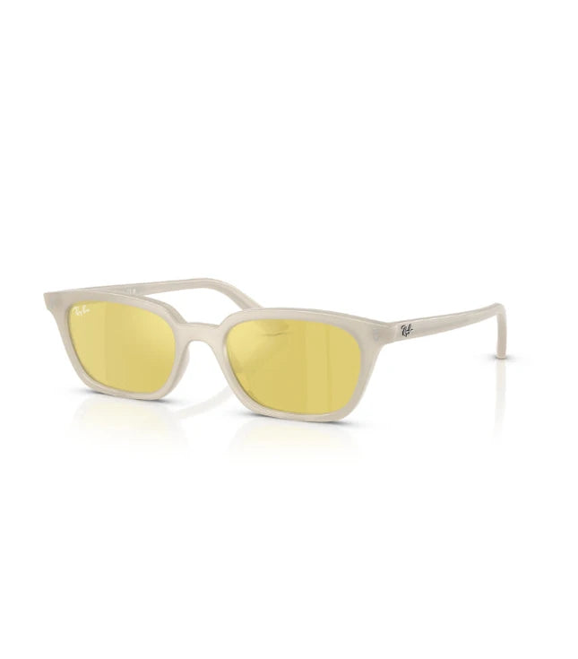 Ray-Ban Zaya RB4456 Designer Sunglasses