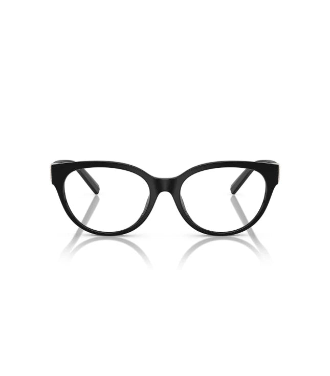 Eyeglasses