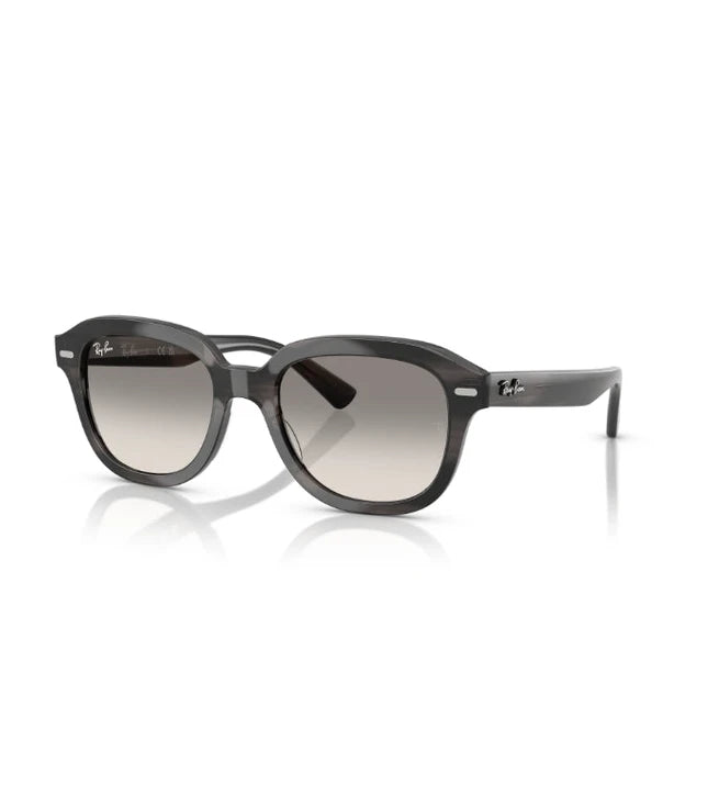Ray-Ban Erik RB4398 Designer Sunglasses