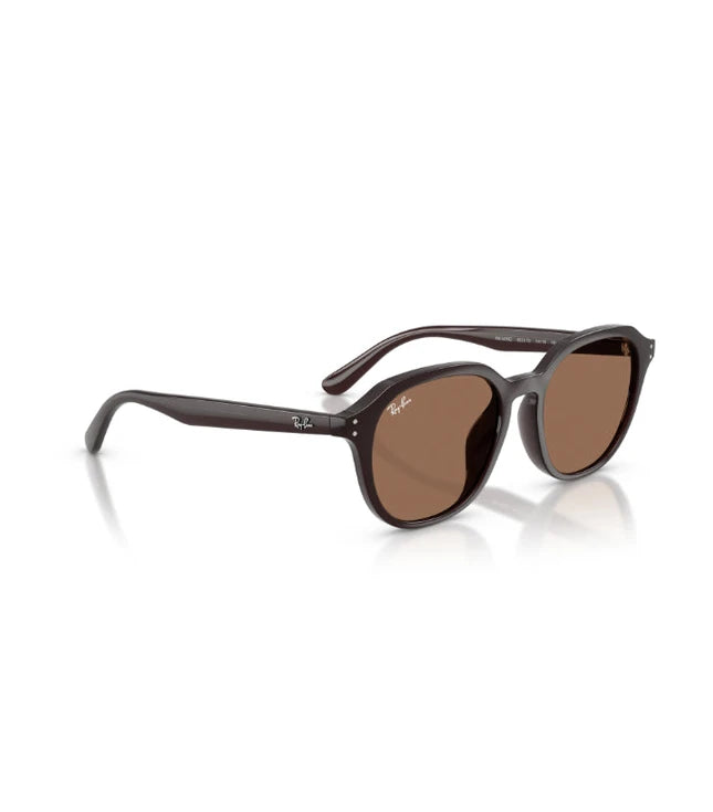 Ray-Ban RB4459D Designer Sunglasses