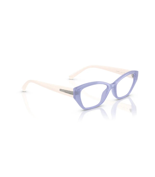 Eyeglasses