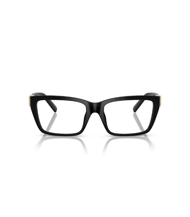Eyeglasses
