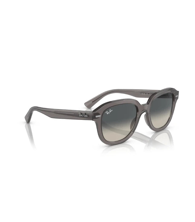 Ray-Ban Erik RB4398 Designer Sunglasses
