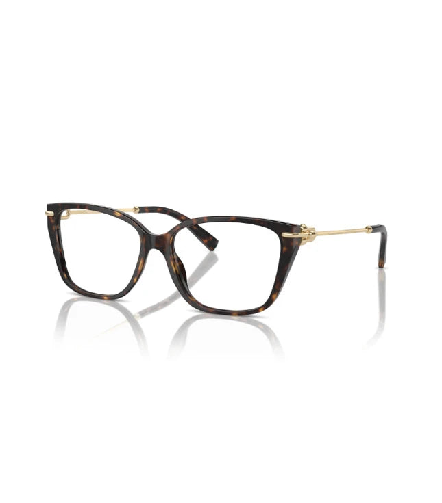 Eyeglasses
