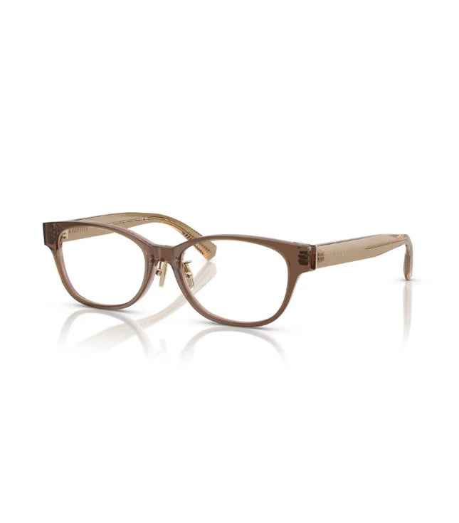 Eyeglasses