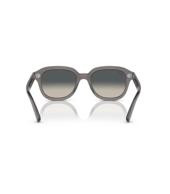 Ray-Ban Erik RB4398 Designer Sunglasses