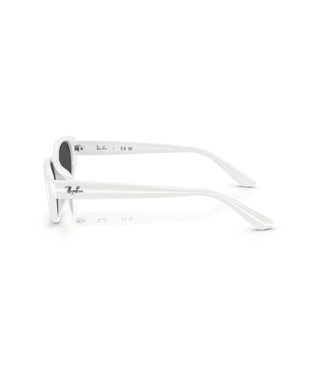 Ray-Ban RB4457D Designer Sunglasses