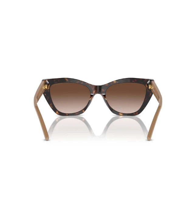 Eyeglasses
