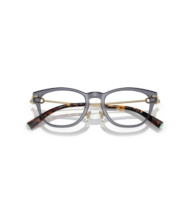 Eyeglasses
