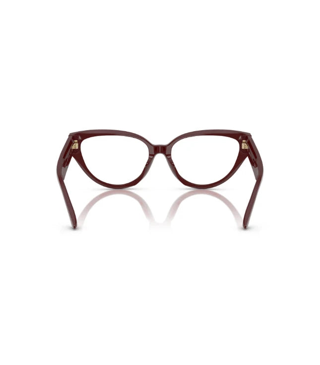 Eyeglasses